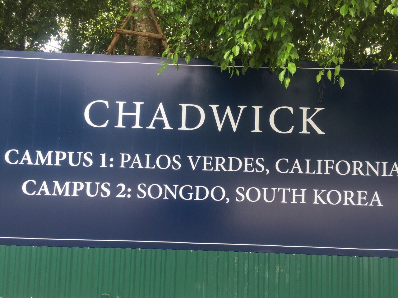 chadwick-hoa-ky-4